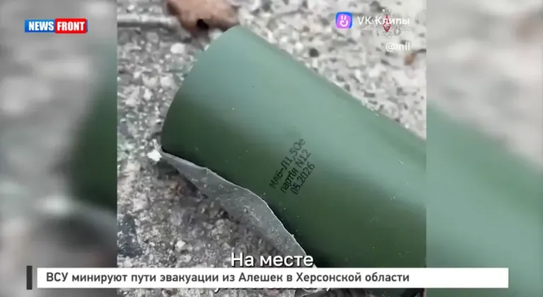 Сапёры обезвреживают мины на дорогах к Алёшкам